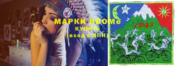 шишки Богородск