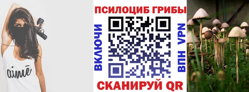 Галлюциногенные грибы Psilocybine cubensis  закладка  Волчанск 