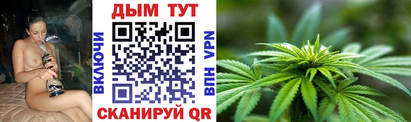 Бошки Шишки MAZAR  Волчанск 